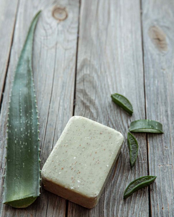 spa-composition-with-natural-fleece-soap-and-aloe-JADA7ZB.jpg